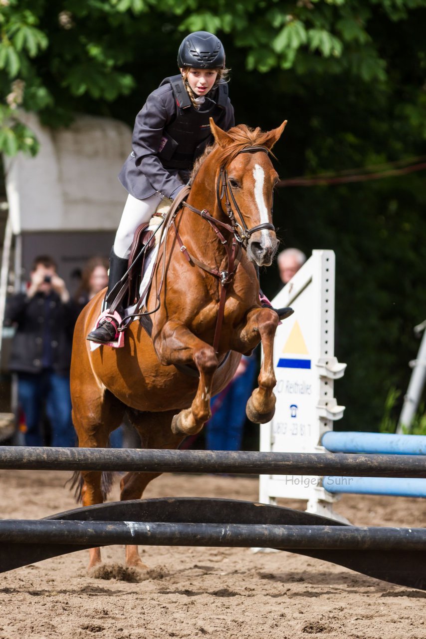 Bild 172 - Reitschule Janen Jubilum